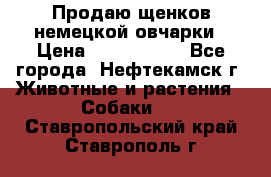 Продаю щенков немецкой овчарки › Цена ­ 5000-6000 - Все города, Нефтекамск г. Животные и растения » Собаки   . Ставропольский край,Ставрополь г.